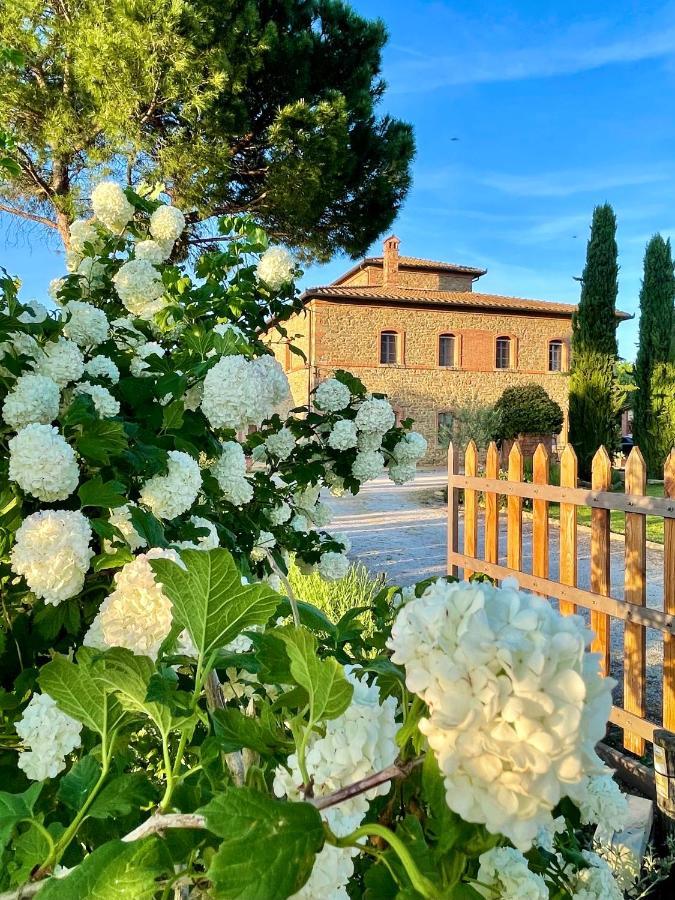 Agriturismo La Colmata Cesa  Exterior photo