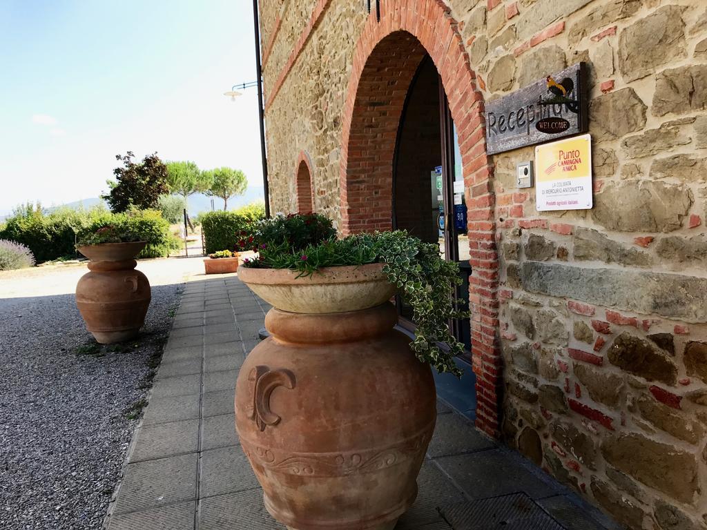 Agriturismo La Colmata Cesa  Exterior photo
